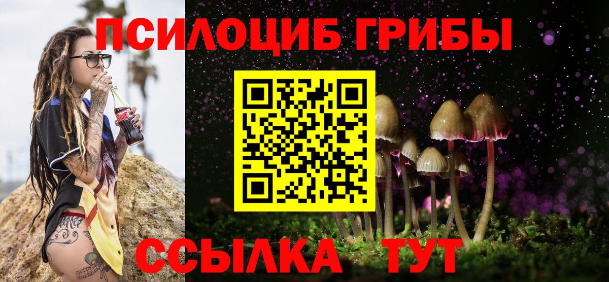 Галлюциногенные грибы Psilocybe Урус-Мартан