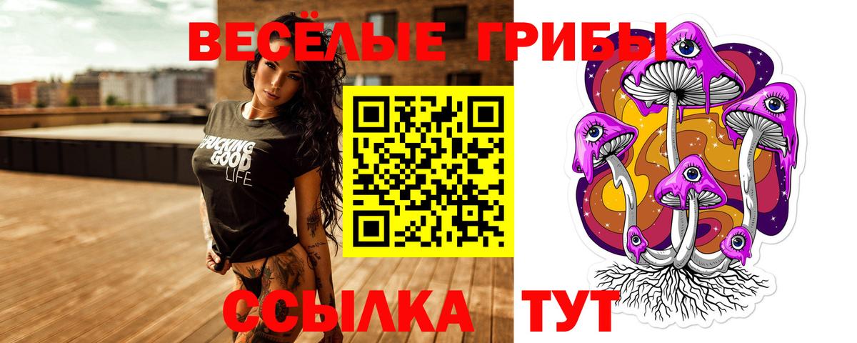 Галлюциногенные грибы прущие грибы  Псилоцибиновые грибы ЛСД  Урус-Мартан  Вход с VPN 